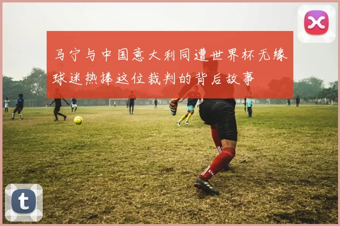 马宁与中国意大利同遭世界杯无缘球迷热捧这位裁判的背后故事