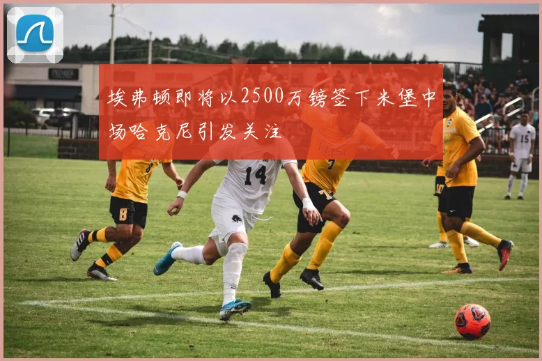 埃弗顿即将以2500万镑签下米堡中场哈克尼引发关注